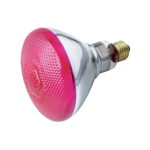 Main product image of 100 Watt BR38 Incandescent Bulb - Pink - 2000 Average rated hours - Medium base - 230 Volt (5 Pack)