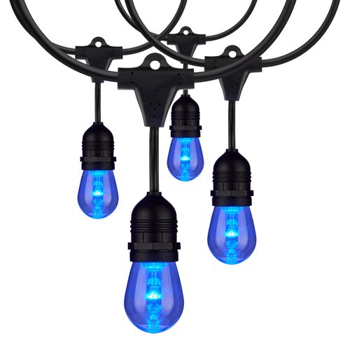 Main product image of 48Ft LED String Light 15-S14 lamps 12 Volts RGBW w/ Infrared Remote