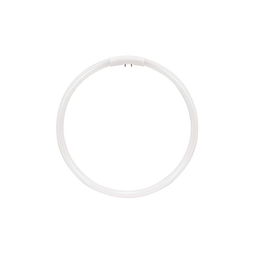 Main product image of 22 Watt - T5 - Circline Fluorescent Bulb 6500K Daylight - 82 CRI - 4-Pin base (2 Pack)