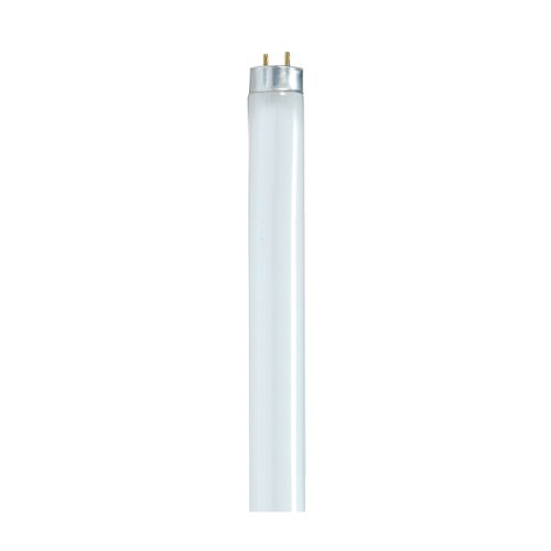 G4 LED Bulbs JC Bi-Pin Base Lights 1.5W DC 12V 10W T3 Halogen Bulb