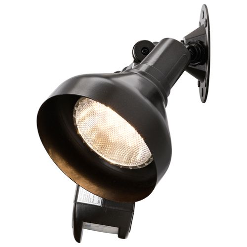 Main product image of 2 Light 14" Flood Light Exterior PAR38 w/ Adjustable Swivel & Motion Sensor Bronze Finish