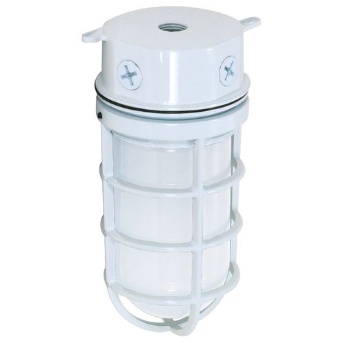 Main product image of 1 Light 10" Industrial Style Surface Mount w/ Frosted Glass White Finish