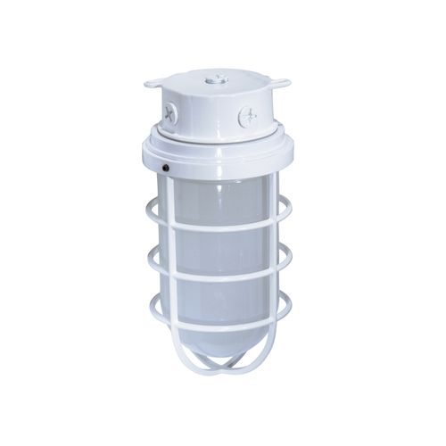 Main product image of 1 Light 11" Industrial Style Surface Mount w/ Frosted Glass White Finish