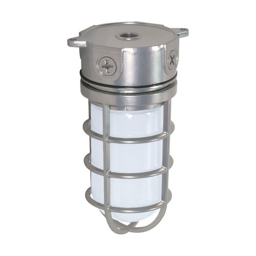 Main product image of 1 Light 10" Industrial Style Surface Mount w/ Frosted Glass Metallic Silver Finish