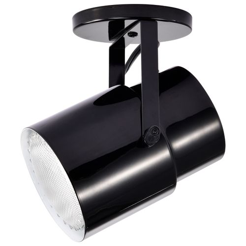 Main product image of Plant Lamp Black Finish (Pack of 2)