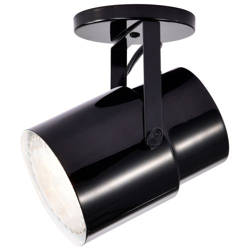 Main product image of Plant Lamp Black Finish (Pack of 2)