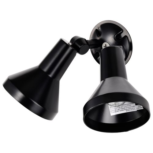 Main product image of 2 Light 15" Flood Light Exterior PAR38 w/ Adjustable Swivel Black Finish