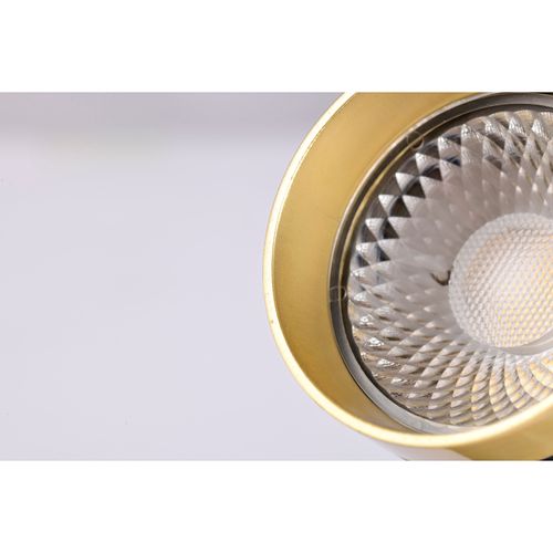Main product image of 12 Watt LED Small Cylindrical Track Head 3000K Matte Black and Brushed Brass Finish