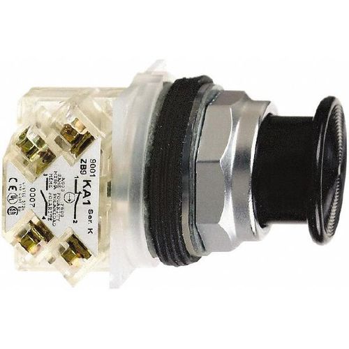 Main product image of Push-Button Switch, 30 mm Mounting Hole Dia, Momentary, NC/NO, 600VAC, 9001KR24BH13
