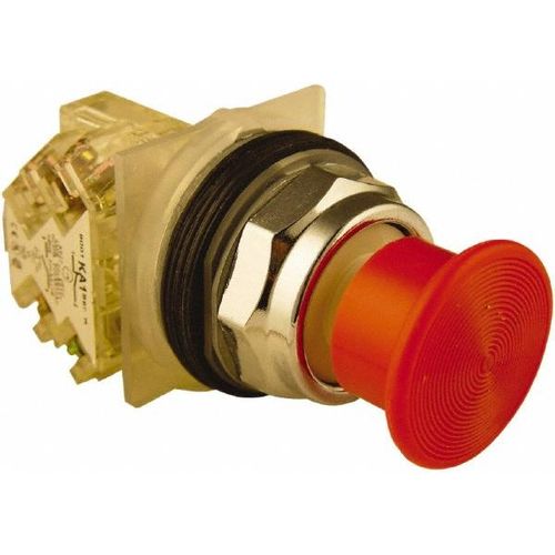 Main product image of Push-Button Switch, 30 mm Mounting Hole Dia, Momentary, NC/NO, 600VAC, 9001KR24RH13