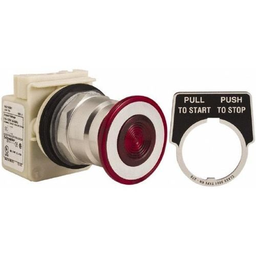 Main product image of Push-Button Switch, 30 mm Mounting Hole Dia, Maintained & Momentary, 600V, 9001KR8P1R