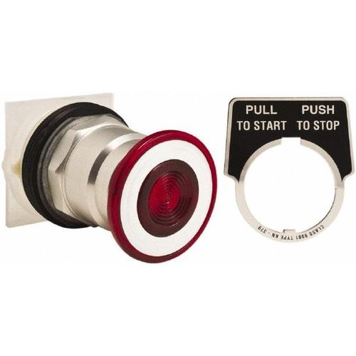 Main product image of Push-Button Switch, 30 mm Mounting Hole Dia, Maintained & Momentary, 600V, 9001KR8R
