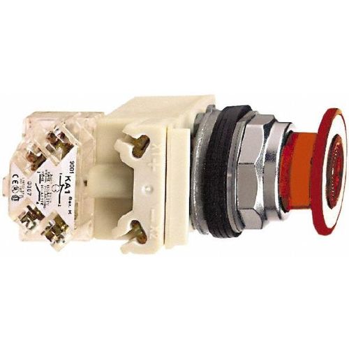 Main product image of Push-Button Switch, 30 mm Mounting Hole Dia, Maintained, Illuminated, 9001KR9P35LRR