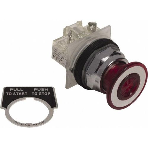 Main product image of Push-Button Switch, 30 mm Mounting Hole Dia, Maintained, NC, 600V, 9001KR9RH6S10