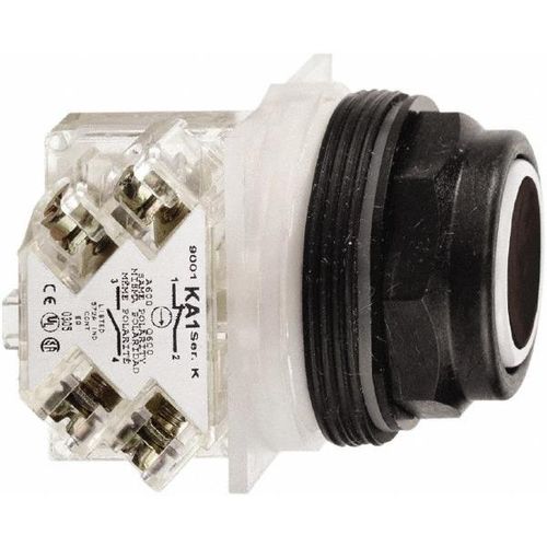 Main product image of Push-Button Switch, 30 mm Mounting Hole Dia, Momentary, NO, 600VAC, 9001SKR1BH5