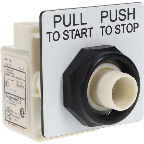Main product image of Push-Button Switch, 30 mm Mounting Hole Dia, Maintained, 120VAC, 9001SKR9P1