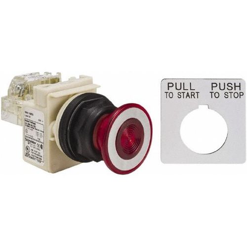 Main product image of Push-Button Switch, 30 mm Mounting Hole Dia, Maintained, NC/NO, 28V, 9001SKR9P35RH13