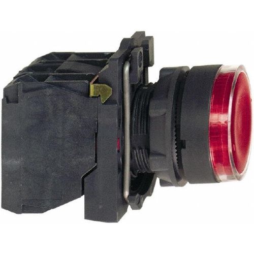Main product image of Push-Button Switch, 22 mm Mounting Hole Dia, Momentary, NC/NO, Illuminated, LED, XB5AW34B5
