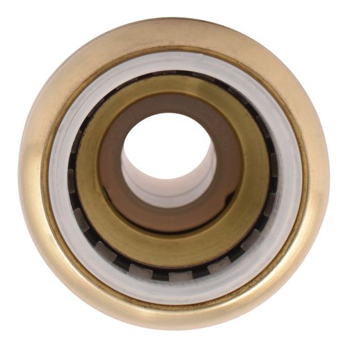 Main product image of 1/2" CTS x 1/2" PVC SharkBite Transition Coupling, UIP4008A