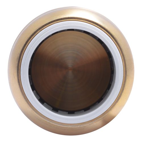 Main product image of 3/4" SharkBite PVC Cap, UIP518A