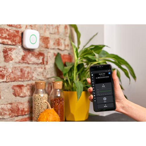 Main product image of Wi-Fi Propane Gas (LPG) Detector