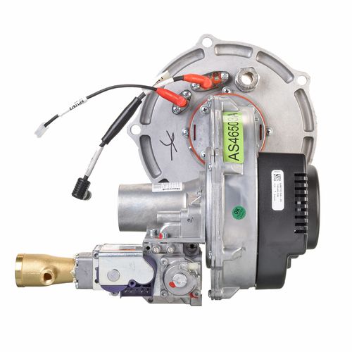 Main product image of Combustion Assembly Nat, SP21001A