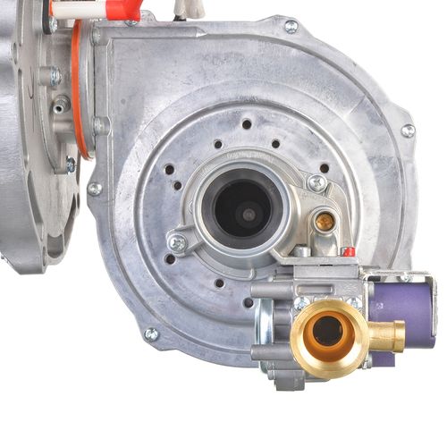 Main product image of Combustion Assembly Nat, SP21001A