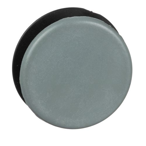 Main product image of Pushbutton Switch Closing Plate, 9001K52