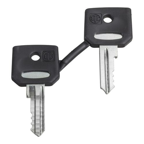 Main product image of Pushbutton Switch Key, ZBG421E