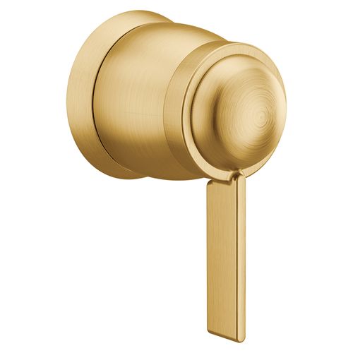 Main product image of Cia Brushed Gold Exacttemp Volume Control, T4622BG