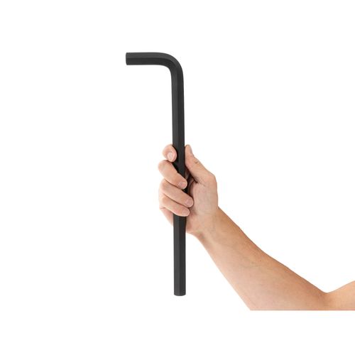 Main product image of 19mm Flat End Hex L-Key