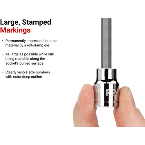Main product image of 3/8" Drive x #2 Long Phillips Bit Socket