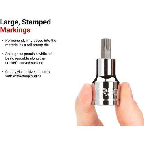 Main product image of 3/8" Drive x TR25 Tamper-Resistant Torx Bit Socket