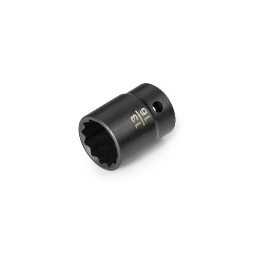 Main product image of 1/2" Drive x 13/16" 12-Point Impact Socket