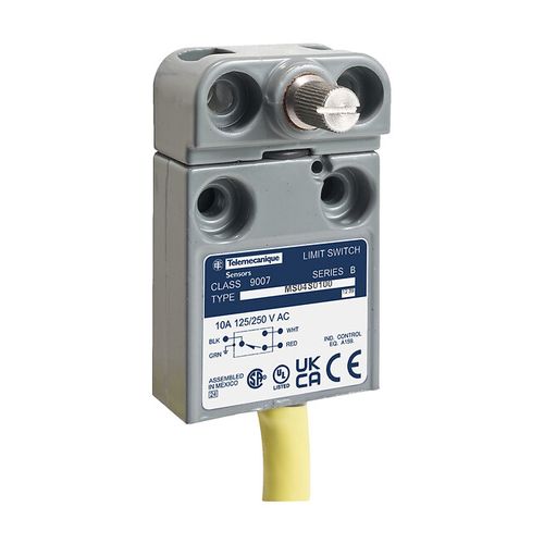 Main product image of Limit Switch 240VAC 10 Amp MS +Options, 9007MS04S0202