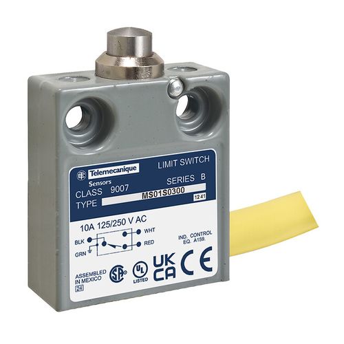 Main product image of Limit Switch 240VAC 10 Amp MS +Options, 9007MS01S0406