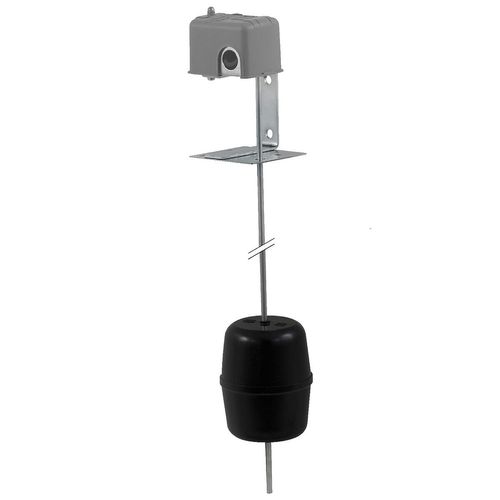 Main product image of Float Switch +Options, 9036FG30