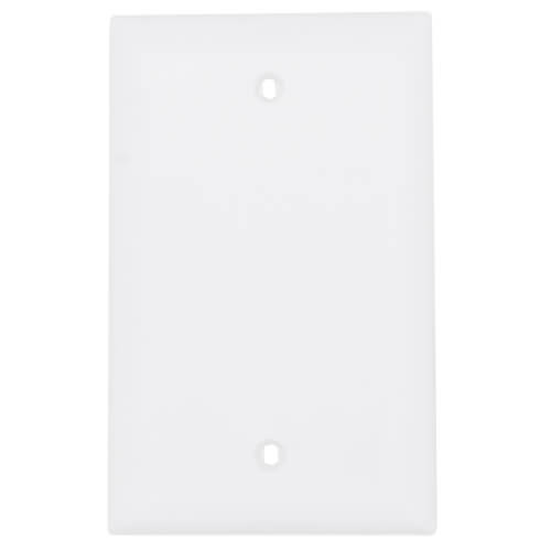 Main product image of 1-Gang Blank Wall Plate, Box Mounted - White
