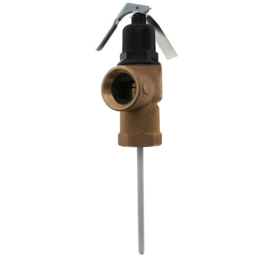 Main product image of TP3000 T&P Relief Valve w/ 5" Probe (125 psi)