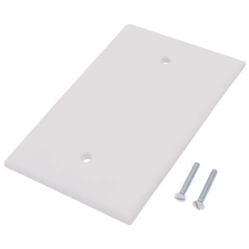 Main product image of 1-Gang Blank Jumbo Wall Plate, Box Mounted - White