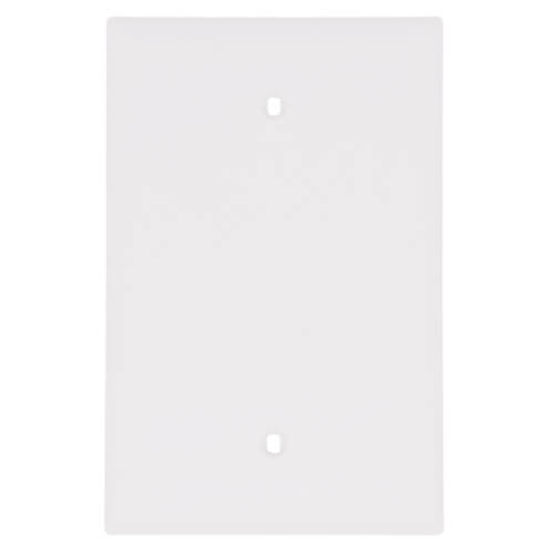 Main product image of 1-Gang Blank Jumbo Wall Plate, Box Mounted - White