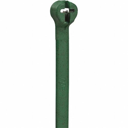 Main product image of 5.5" Long, Green, Nylon, Standard Cable Ties (Pack of 1000), TY24M-5
