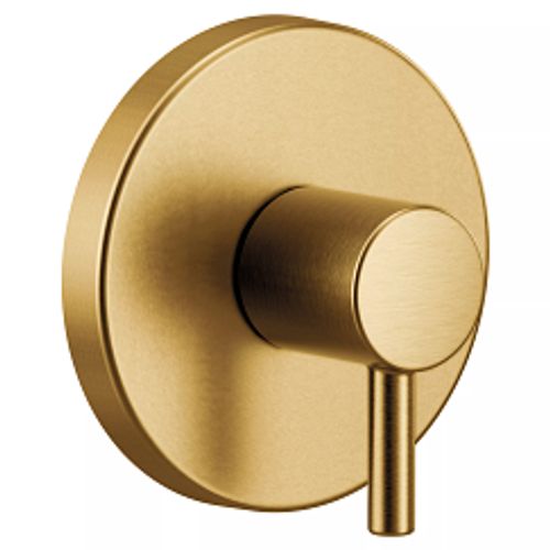 Main product image of Align Brushed Gold M-CORE Transfer Vertical Spa Trim, UT4191BG