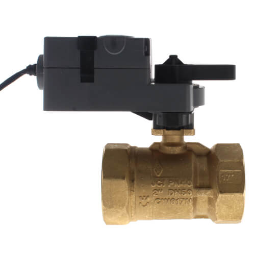 VG1245FS910HGA Johnson Controls VG1245FS910HGA 2" NPT 2Way