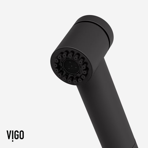 Main product image of Branson Pull-Out Spray Kitchen Faucet (Matte Black), VG02021MB