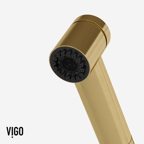 Main product image of Branson Pull-Out Spray Kitchen Faucet (Matte Brushed Gold), VG02021MG