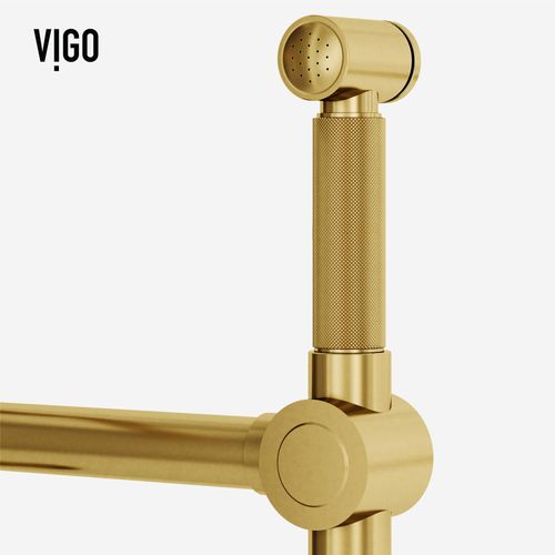 Main product image of Cass Single Handle Bridge Kitchen Faucet with Side Sprayer (Matte Brushed Gold), VG02050MG