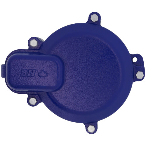 WTCC6CI12 Boshart WTCC6CI12 6" Watertight Cast Iron Locking Well Cap