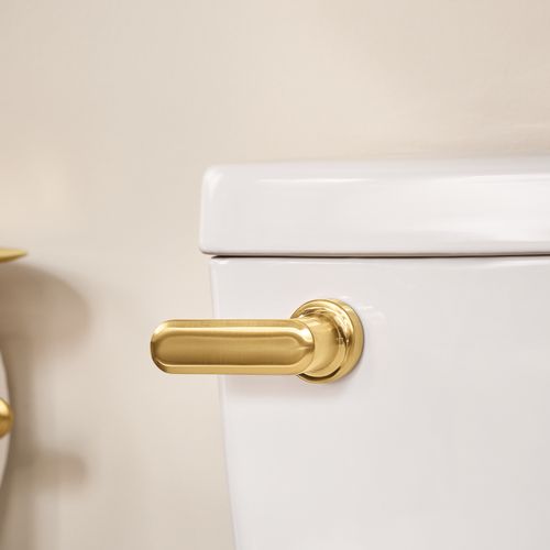 Main product image of Greenfield Brushed Gold Tank Lever, YB1701BG