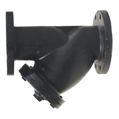 Main product image of 3" Flanged Cast Iron Wye Strainer w/ Epoxy Coating, .045 Perforated Screen, YCF03P045E